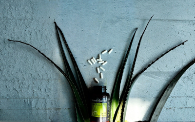 Aloe Vera Capsules Benefits: What 30 Years of Real-World Use Actually Reveals