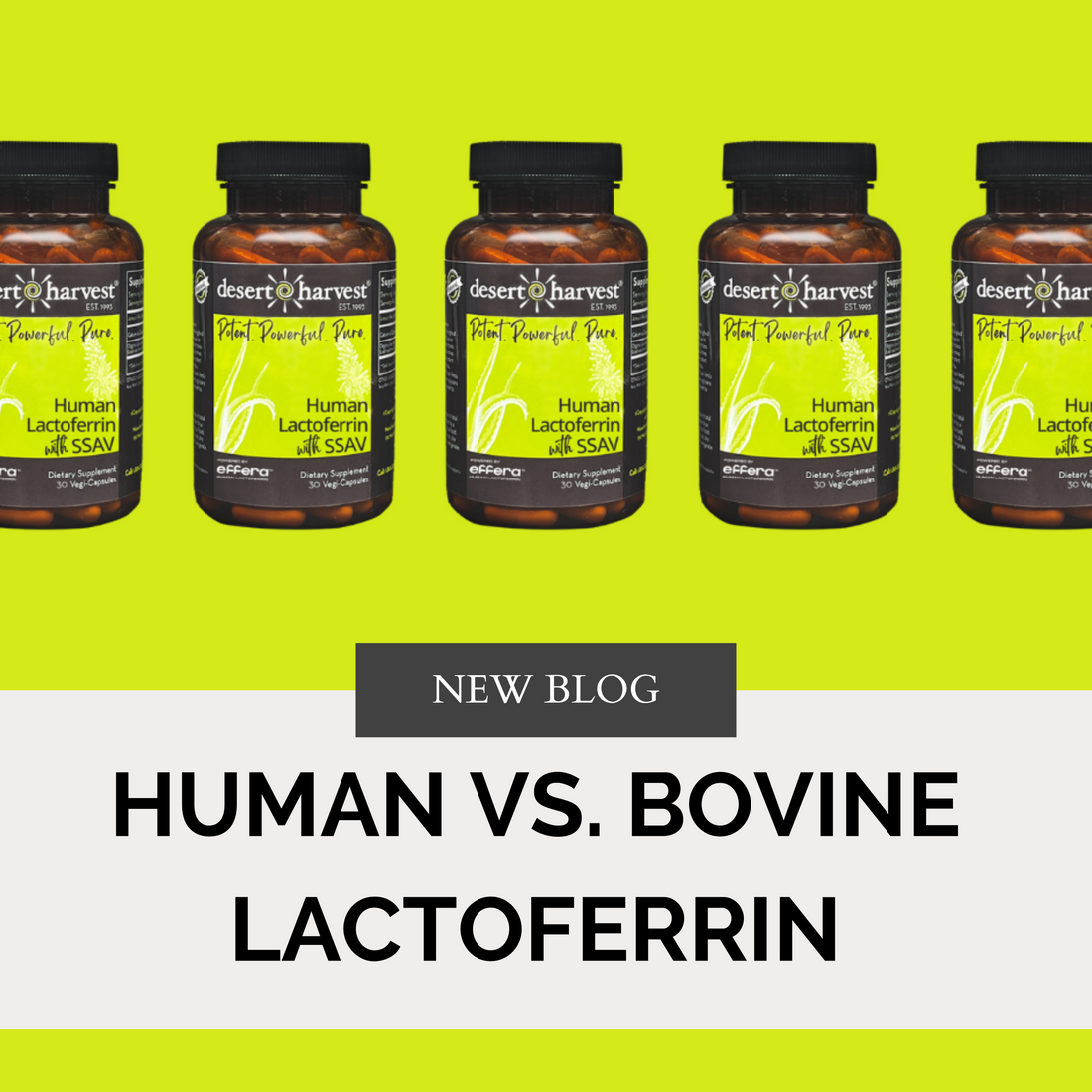 Human vs. Bovine Lactoferrin: A Breakthrough in Women’s Health - Desert Harvest