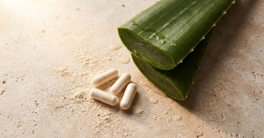 Fresh aloe vera leaf cut open beside supplement capsules, Desert Harvest aloe absorption story