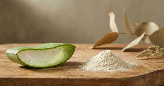 Fresh Aloe Vera inner leaf gel beside concentrated Aloe Vera powder, showing volume reduction