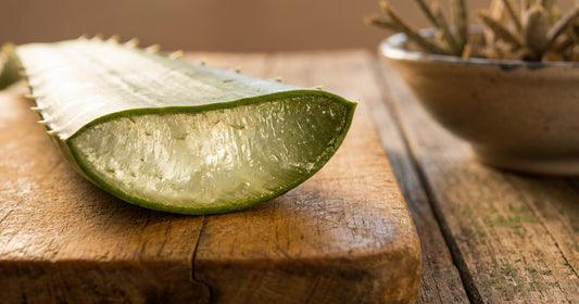 Fresh Aloe Vera leaf cut open to reveal the inner gel, Desert Harvest