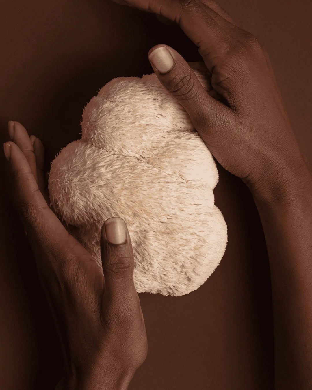 Meet Your Mushrooms: All About Our Latest Supplements – Lion’s Mane and Turkey Tail - Desert Harvest