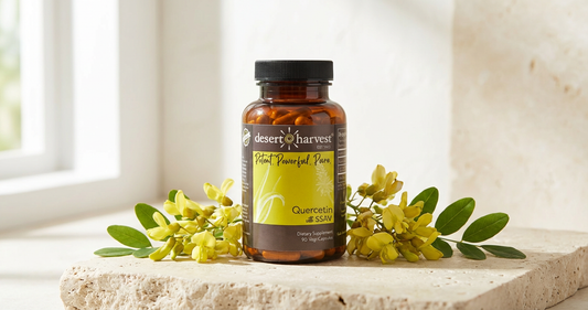 Quercetin for Allergic Bladder: Natural Mast Cell Support for IC and Overactive Bladder