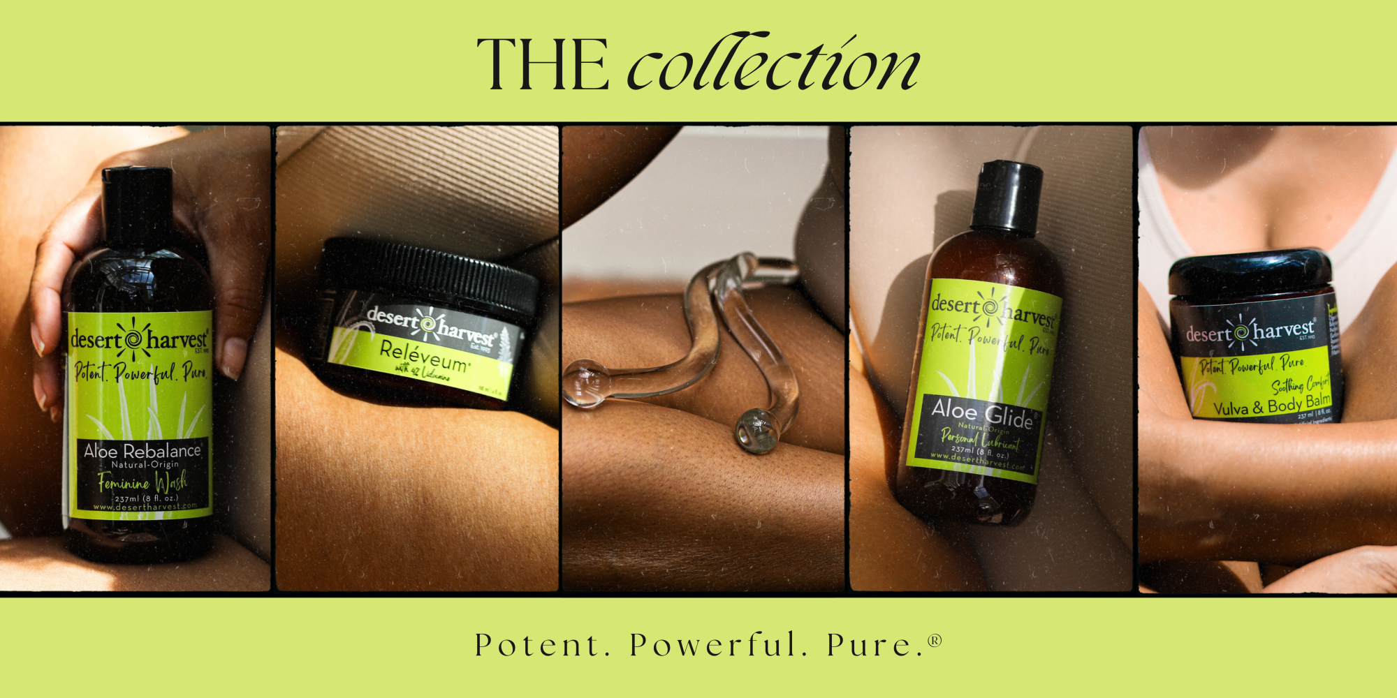 Three products. One foundation. Ships to Canada.
