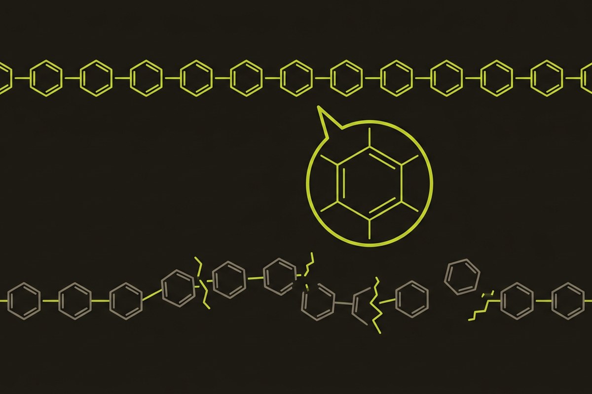 Diagram of sugar units linked into a long polysaccharide chain, Desert Harvest Aloe Vera science