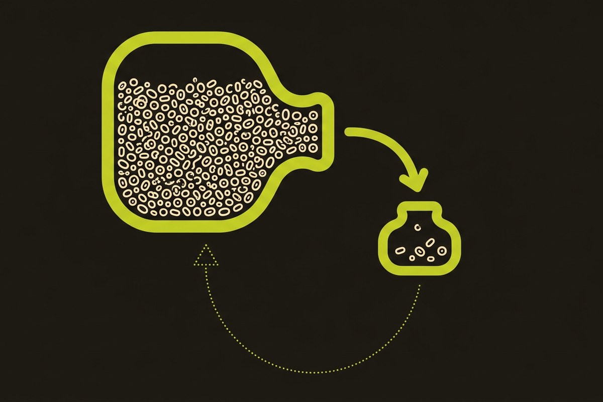 Desert Harvest diagram showing the gut as a bacterial reservoir with a short path to the urinary tract