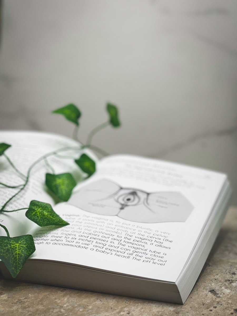 THE MUSCULOSKELETAL MYSTERY: How To Solve Your Pelvic Floor Symptoms - Desert Harvest