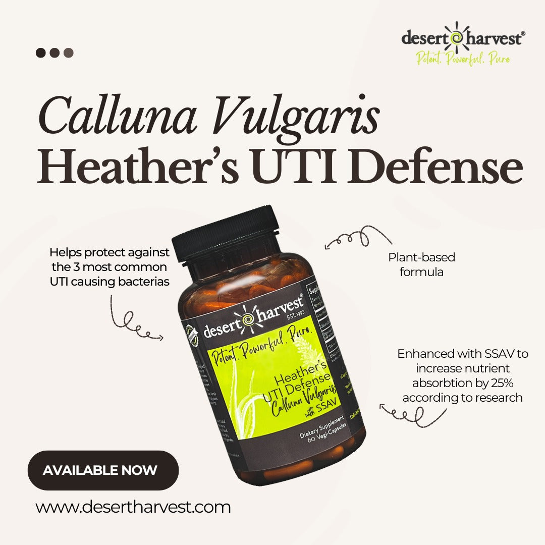 Heather's UTI Defense - Calluna Vulgaris - NEW