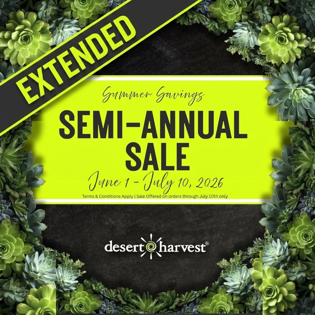 Save up to 50% off in our