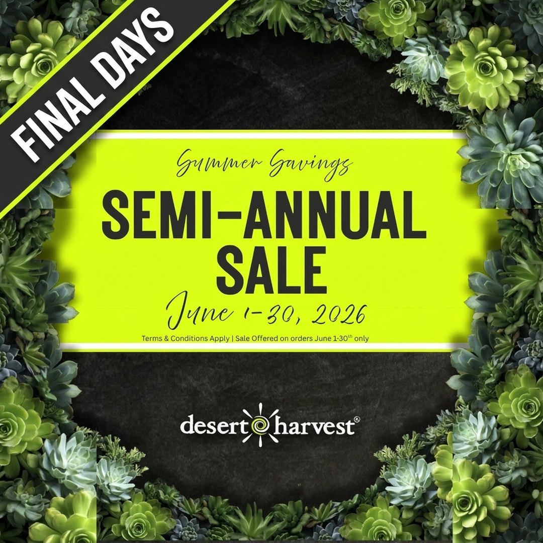 Save up to 50% off in our