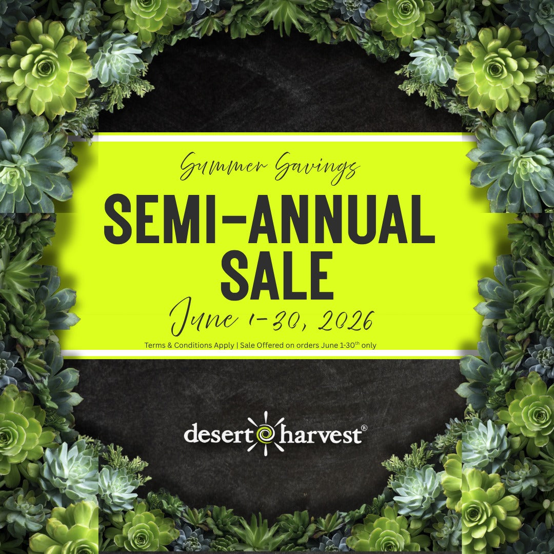 Save up to 50% off in our